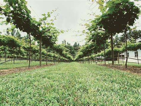 Recent Arrest Records and Mugshots in Paulding County 15