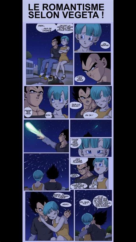 Le Romantisme Selon Vegeta Dragon Ball France Amino