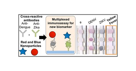 Repurposing Old Antibodies For New Diseases By Exploiting Cross