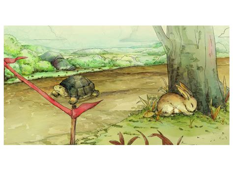 Tortoise And The Hare Race