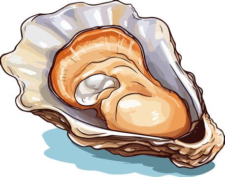 Oyster Cartoon Pearl Illustration Shellfish Stock Vector Clip Art Library