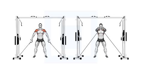 Cable Standing Face Pull - Guide, Benefits, and Form