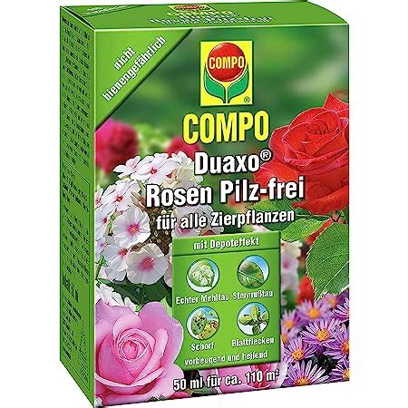 COMPO Duaxo Rosen Pilz frei Bekämpfung von Pilzkrankheiten an allen