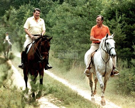 Ronald Reagan And George Hw Bush On Horses At Camp David 8x10 Photo