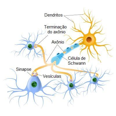 Sinapses Toda Matéria