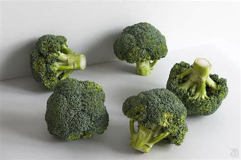 Broccoli 3d Model Cgtrader