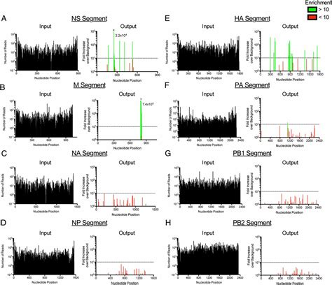 Genome Wide Mutagenesis Of Influenza Virus Reveals Unique Plasticity Of