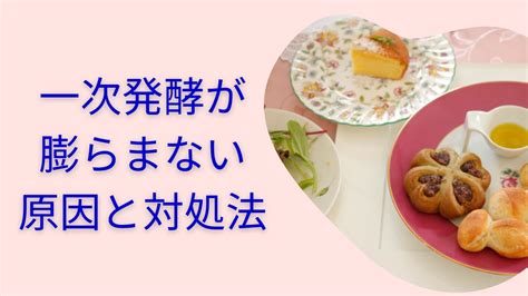 パン作りの一次発酵が膨らまない原因と6つの対処法 パン作りで丁寧な暮らしを楽しむ