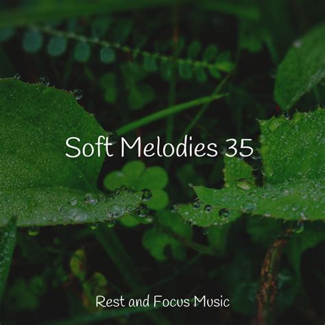 Soft Melodies 35 Album By Deep Sleep Relaxation Spotify