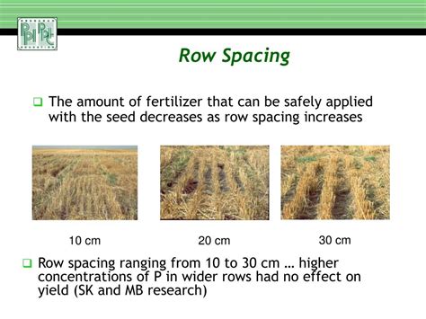 Ppt Tillage Intensity Crop Rotation And Fertilizer Technology For Sustainable Wheat