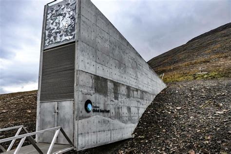 Na Norweskim archipelagu Svalbard na wyspie Spitsbergen w wydrążonym