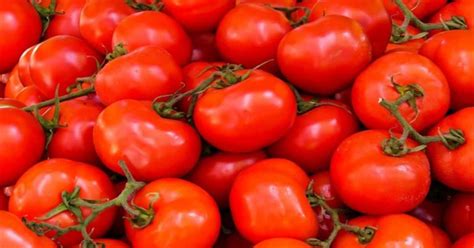 टमाटर हुआ और लाल हफ्तेभर में दोगुनी हो गईं कीमतें जानें कहां क्या चल रहे भाव Tomato Price