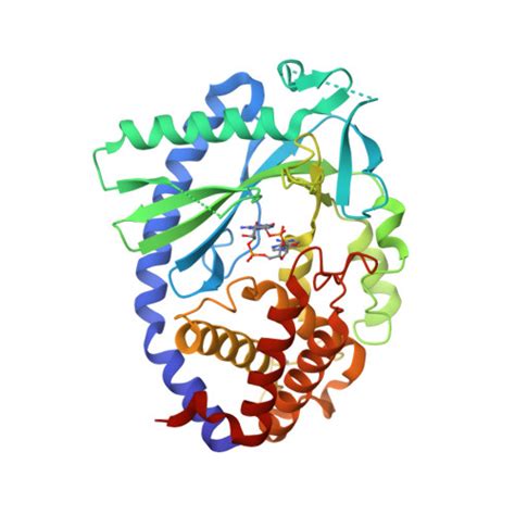 Rcsb Pdb Ftg Crystal Structure Of Human Cyclic Gmp Synthase In