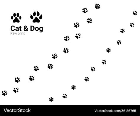 Cat and dog paw print pets or animals trail Vector Image