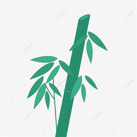 Folhas De Bambu De Plantas De Ver O Png Ver O Plantar Bambu Imagem