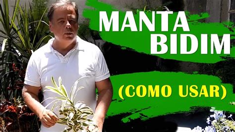 Manta Bidim Como Usar Manta Bidim Jardins Residenciais Jardinagem