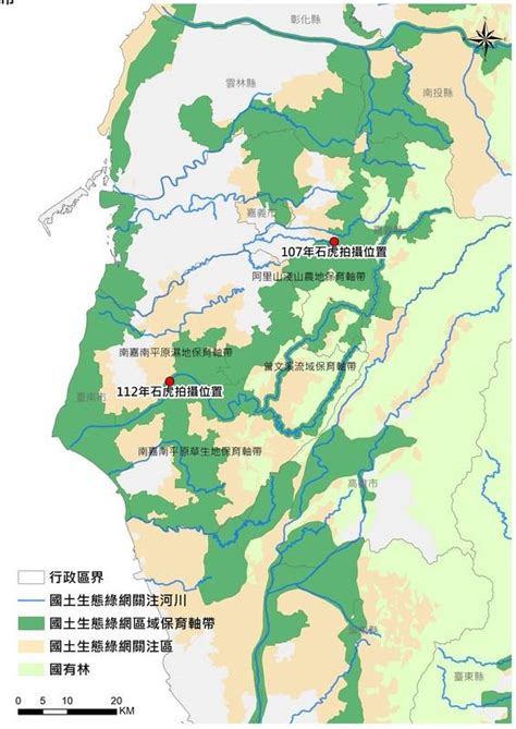 國土生態綠網建置奏效！石虎睽違17年現蹤台南 新頭殼 Line Today