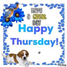 Happy Thursday GIF - Happy thursday - Discover & Share GIFs