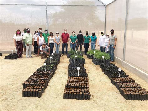 SENAR RN entrega mudas do Projeto Onda Verde no Sertão para produtores