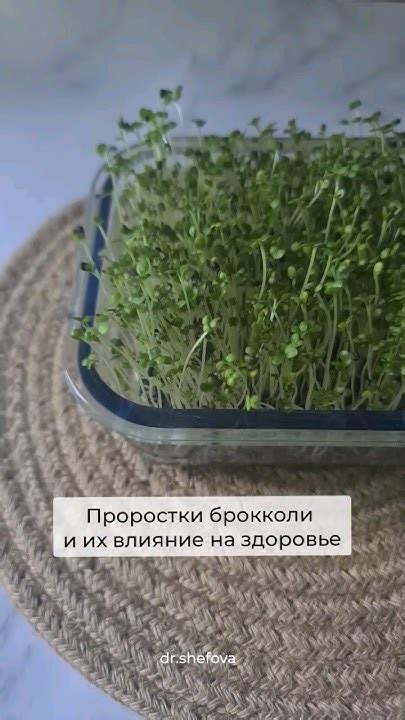 Проростки брокколи и их влияние на здоровье - YouTube