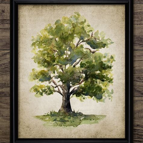 Oak Tree Watercolor Wall Art Etsy