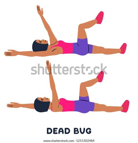 Dead Bug Pose Royalty-Free Images, Stock Photos & Pictures | Shutterstock