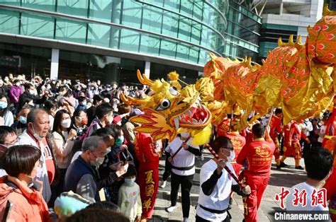 （新春见闻）香港龙狮跃动贺新春 聚焦 东南网