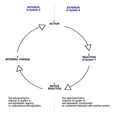 Diagram Of Feedback Loop