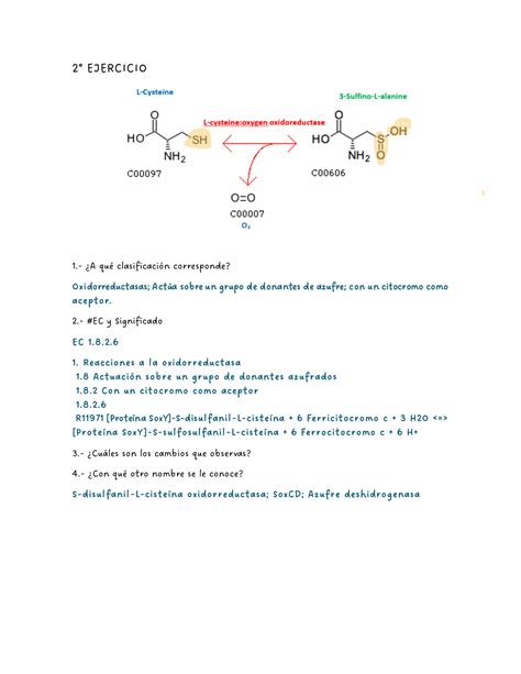 Solution Bioquimica Ejercicios De Clasificaci N De Enzimas Y Kgg