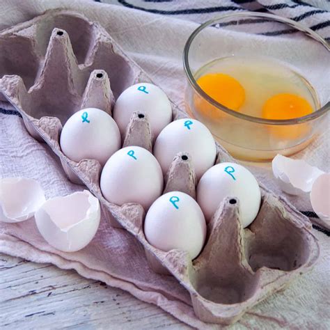 How To Pasteurize Eggs With A Sous Vide Ramshackle Pantry