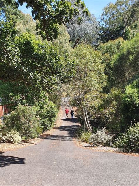 Dianne Wollaston And John Penders Complete Garden Local Food Connect