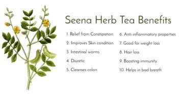 12 Best Health Benefits of Senna Tea - Herb Taste, Side Effects