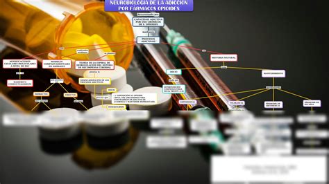 SOLUTION Mapa Conceptual Neurobiolog A De Adicci N Studypool