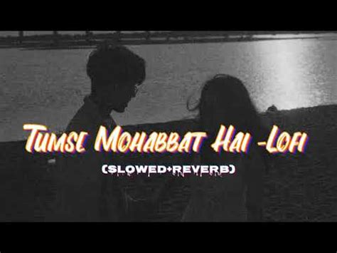 Tumse Mohabbat Hai Lofi Slowed Reverb Jalaj Song SD Music