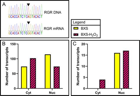 A To I RNA Editing Patterns Change In Response To Oxidative Stress A