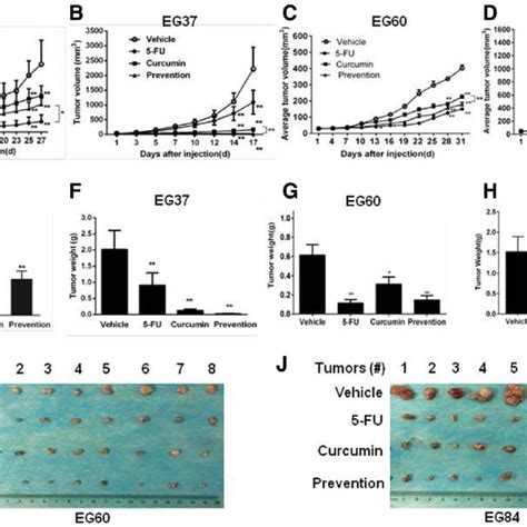 Curcumin Suppressed Tumor Growth In Escc Pdx Models A D When The