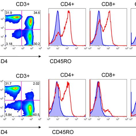 (PDF) Expression of the Memory Marker CD45RO on Helper T Cells in Macaques