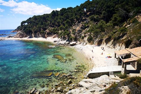 Playa de Cap de Planes en Palamós 2025 Visita Costa Brava