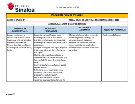 Esbozo Plan De Atención 3er Grado docx