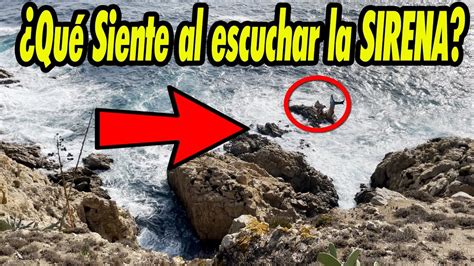 Grabo El Canto De Una Sirena Real Youtube