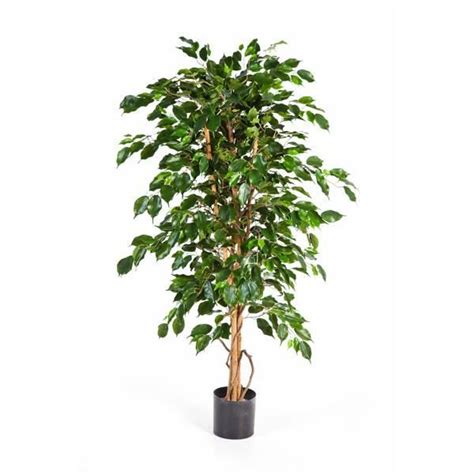 Ficus Exotica Artificiel En Pot 880 Feuilles Vert 150 Cm Ficus