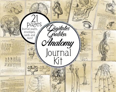 Best Way To Anatomy Journal
