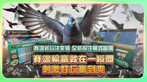 《賽鴿大亨》全新「走地投注模式」將於 8 月底登場 巴哈姆特