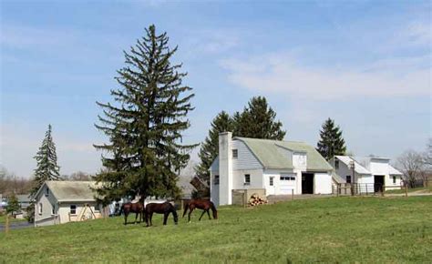 Our Amish Lodgings - Amish BnB