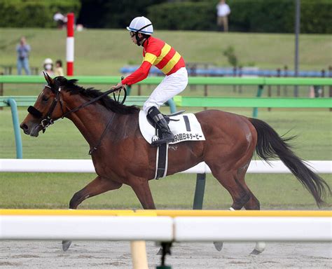 【日本ダービー】ベラジオオペラは見せ場十分の4着 横山和生騎手「ラストは素晴らしい伸びだった」 ライブドアニュース