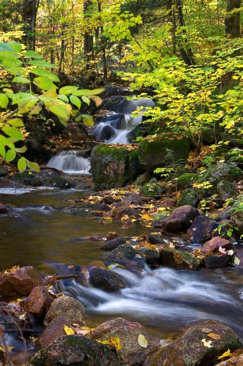 Beautiful Waterfall in Autumn with Yellow Leaves Stock Image - Image of ...