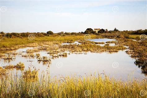 Camargue Landscpae Stock Image Image Of Landscape Lonely 14848339