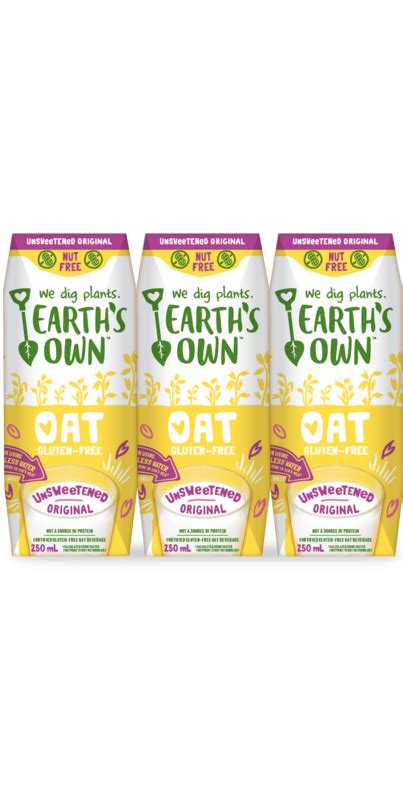 Buy Earth S Own Oat Unsweetened Original At Well Ca Free Shipping