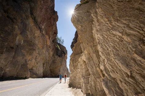 Excursions dune journée de Kootenay Rockies GetYourGuide