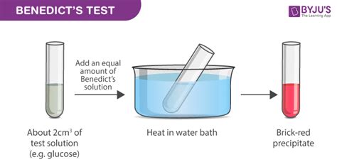 Tests Of Carbohydrates Chemistry Practicals Class 12